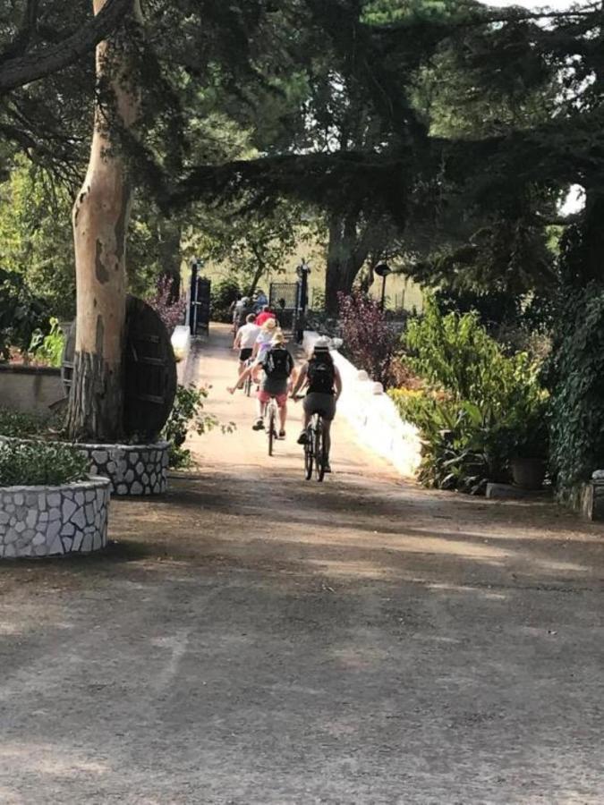 B&B Mandorla Amara Gioia Del Colle Bagian luar foto