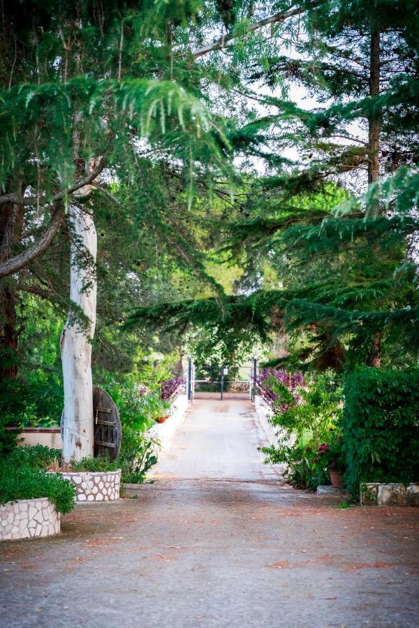 B&B Mandorla Amara Gioia Del Colle Bagian luar foto
