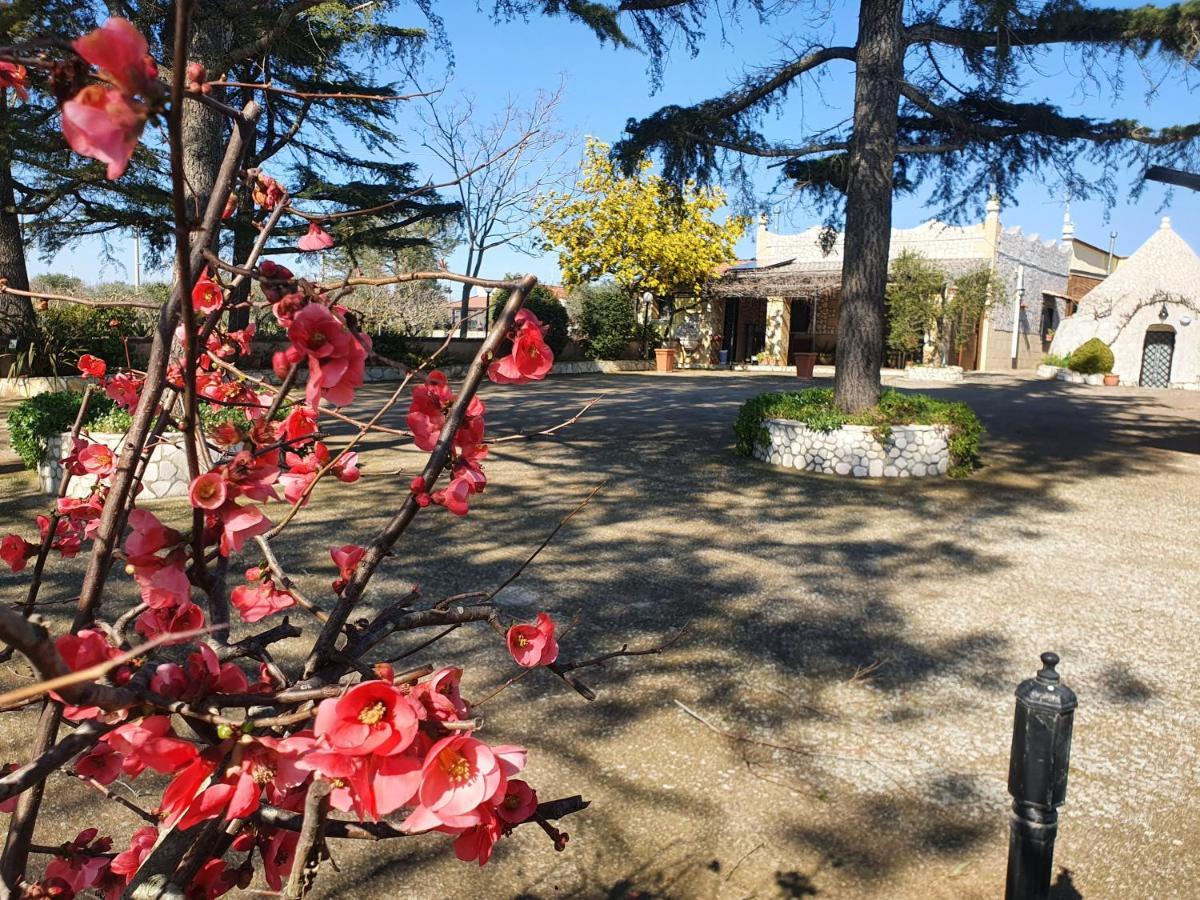 B&B Mandorla Amara Gioia Del Colle Bagian luar foto